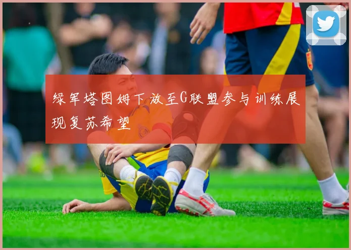 绿军塔图姆下放至G联盟参与训练展现复苏希望