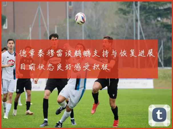 德章泰穆雷谈鹈鹕支持与恢复进展目前状态良好感受积极