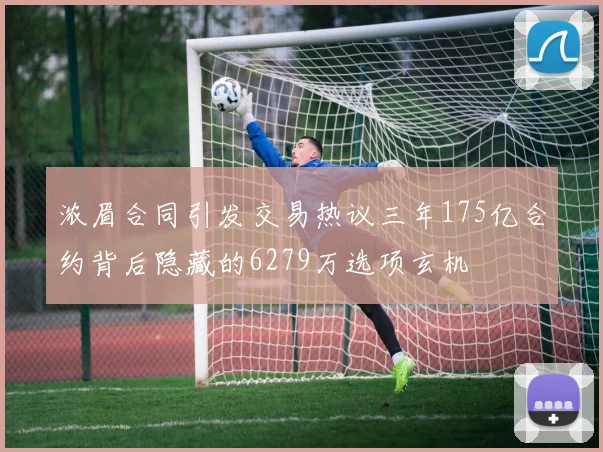 浓眉合同引发交易热议三年175亿合约背后隐藏的6279万选项玄机