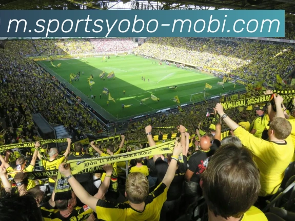 yobo体育APP 封面图